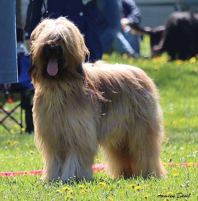 winston 27.4.2025 1