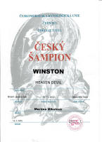 winston cesky sampion small1