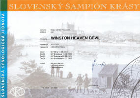 winston slovensky sampion small1