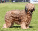 coco 11.5.2025 small