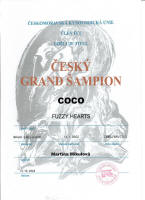 coco cesky grand small1