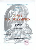 coco cesky junior small1