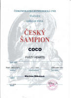 coco cesky sampion small1