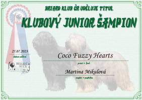 coco klubovy junior small1