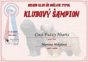 coco klubovy sampion small1