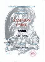 coco sampion cmku small1