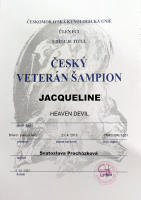 jacqueline cesky veteran small1