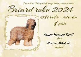 laura BR 2024 veteran small1