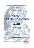 laura cesky veterav small1