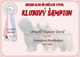 orwell klubovy sampion small1