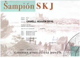 orwell sampion SKJ small1