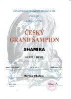 shamira cesky grand small1