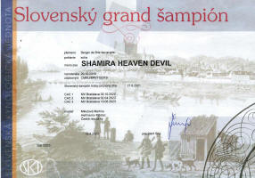 shamira slovensky grand small1