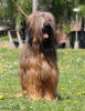 theresa 27.4.2025 1 small