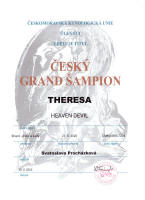 theresa cesky grand small1
