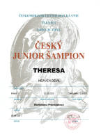 theresa cesky junior small1