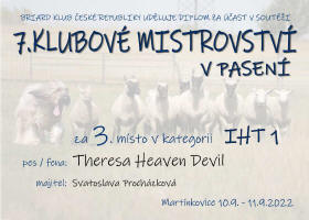 theresa klub mistrov 22 small1