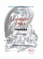 theresa sampion cmku small1