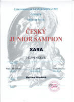 xara cesky junior small1