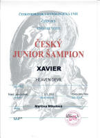 xavier cesky junior small1