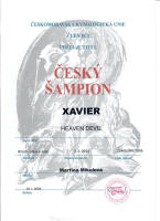 xavier cesky sampion small1