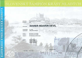 xavier slovensky junior small1