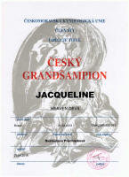 Jacqueline cesky grandsampi small1