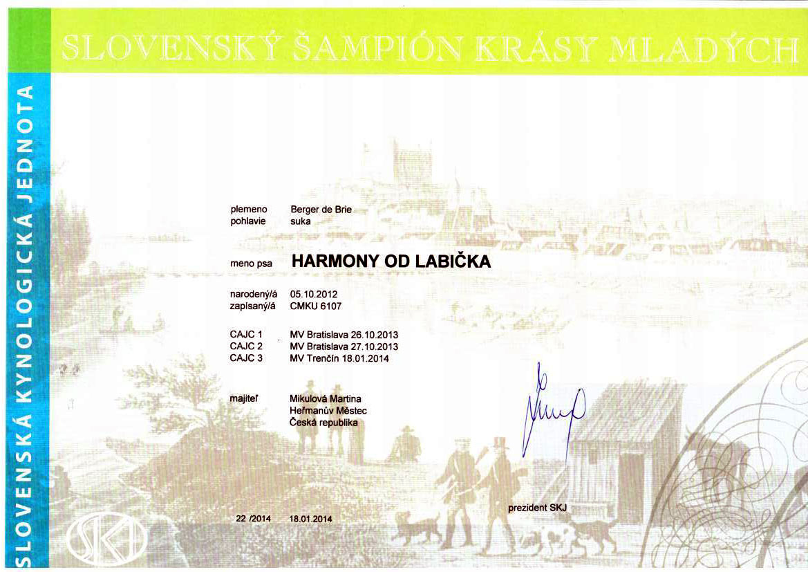 Harmony slovensky junior sampion