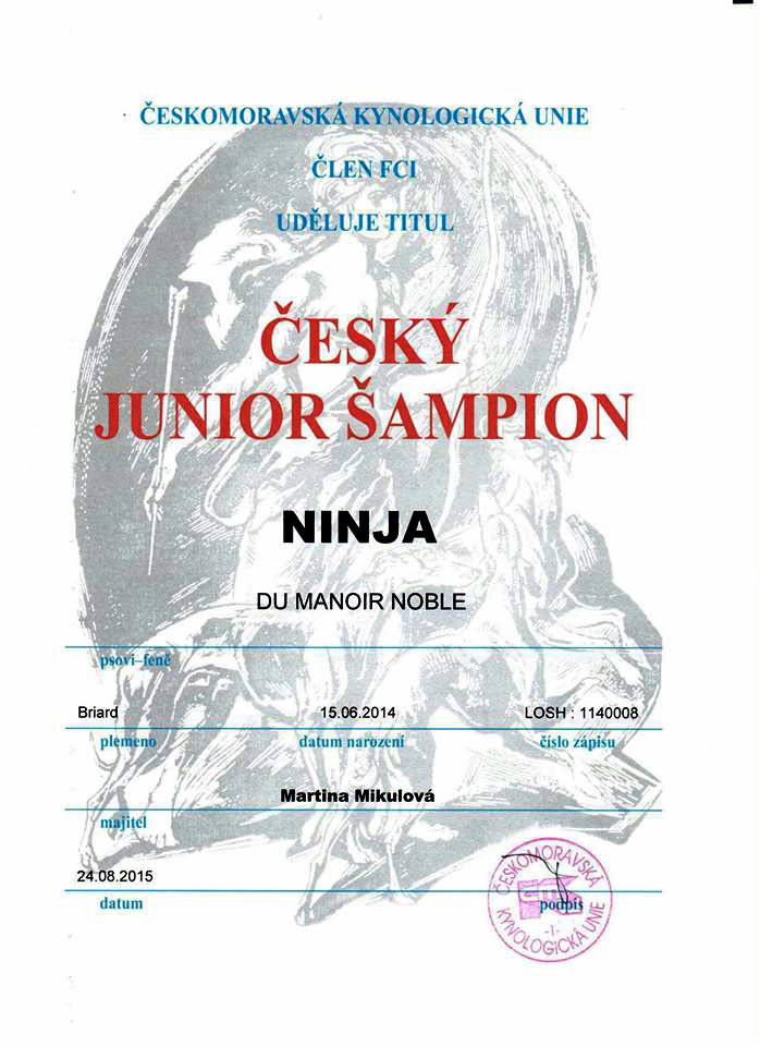 ninja-cesky-junior-sampion